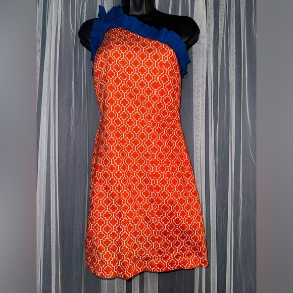 Natalie Kim Dresses & Skirts - Natalie Kim Custom Florida Gators Gameday Dress